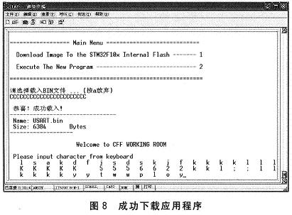 成功下载应用程序