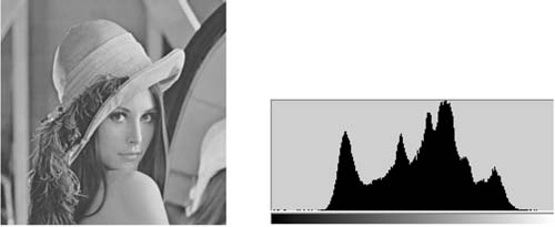Lena 图像的灰度直方图统计