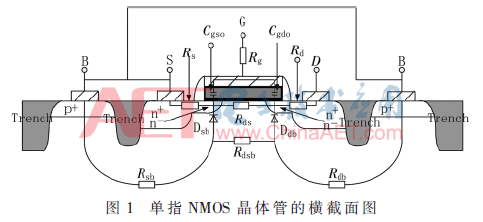 wdz3-t1.gif