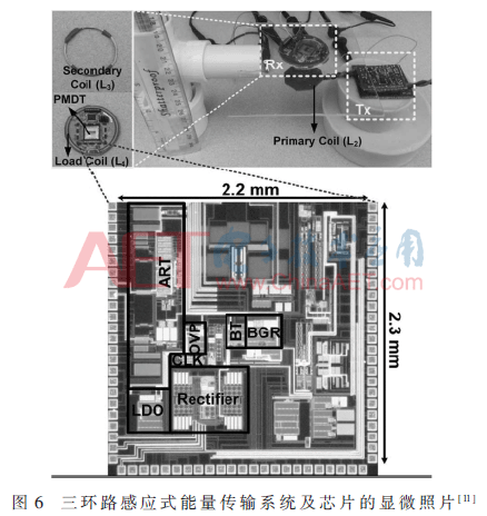 zs1-t6.gif